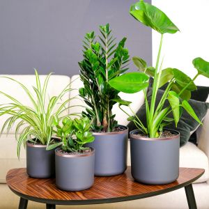 VidaXL Ruban en Cuivre 6 pcs Cuivre 2000 x 5 cm