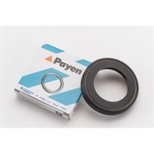 PAYEN Bague d'étanchéité Vilebrequin NJ381