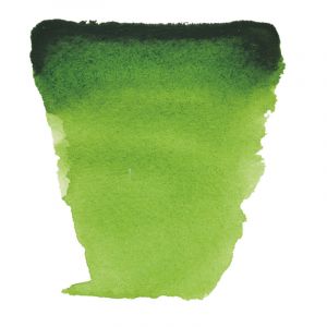 Van Gogh Peinture aquarelle de Royal Talens, 1/2 godet, Vert de vessie