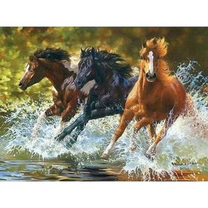 Figured'Art Peinture par Numéro Adulte Chevaux de Camargue - Activité Manuelle Kit de Loisir Créatif DIY Numéro d'Art Complet - 40x50cm sans châssis en bois