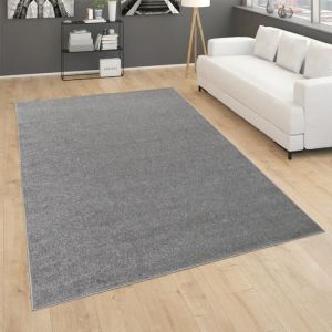 Image de Paco Home Tapis pour Salon Uni Poils Ras Sobre Et Moderne, Gris Foncé 120 cm rond