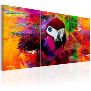 Image de Artgeist Tableau - Jungle of Colours - 60x30