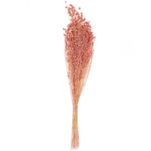Rico Design Fleurs s&eacute;ch&eacute;es - Lin s&eacute;ch&eacute; rose - 100 g