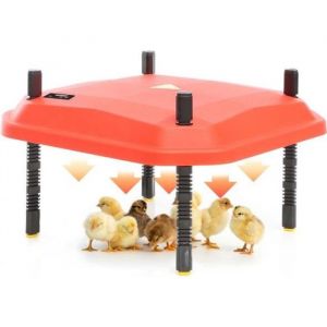 Fudajo Panneau chauffant pour élevage de 15-20 poussins Plaque 25x30cm 20W avec thermostat