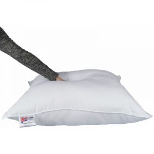 Homescapes - Oreiller en Plumes et duvet d'oie 80 x 80 cm - Blanc