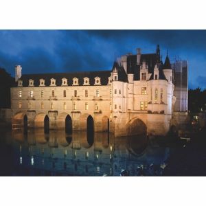 Dtoys Puzzle Château de France - Château de Chenonceau