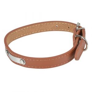 Collier Pour Chien en Cuir Plaque 50cm Cognac