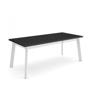 Table à manger, Meuble Salle à Manger, 200, Pour 10 personnes, Pieds en bois, Style moderne, Noir - Skraut Home