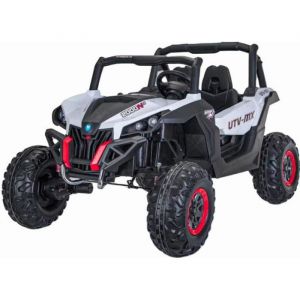 Image de MINI BUGGY UTV MX (avec options)