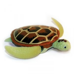 Image de Splash Toys Robo Tortue (coloris aléatoire)