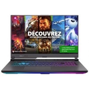Asus PC portable ROG Strix G17 G713QM-HX016T