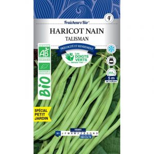 Les doigts verts Haricot Nain Talisman Bio