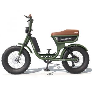 Garrett Miller V&eacute;lo &Eacute;lectrique Biplace Cargo Garrett Miller City - Vert