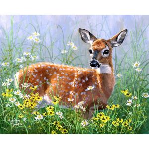 Peinture au num&eacute;ro : Biche dans la prairie - toile tendue sur ch&acirc;ssis