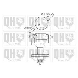 Quinton Hazell Pompe &agrave; carburant QFP87