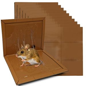 Repulseo Pieges a Colle Souris Rat Glue,Deratisation Attrape Souris Professionnel, Glu Extra Forte Aromatisee [10 pcs]