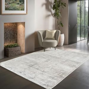 Tapis Classique - The Carpet - Janelle - Viscose - Gris - 160 x 230 cm