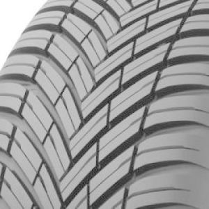 Toyo Celsius AS2 - 255/50 R19 107W