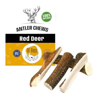 RF - DEER Bois de Cerf Taille L Jouets à mâcher naturels pour Chiens Version Soft