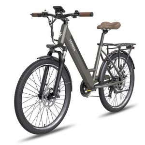 Vélo électrique Fafrees F26 Pro 26 pouces Autonomie 65km Amortisseur avant Freins à disque Batterie 36V14,5Ah Gris