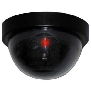 Extel WESVFC 87001 - Cam&eacute;ra d&ocirc;me factice