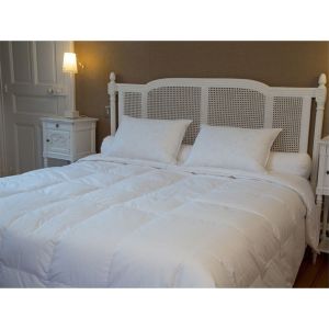 Image de Castex Couette été canard 90% duvet (250 x 300 cm)