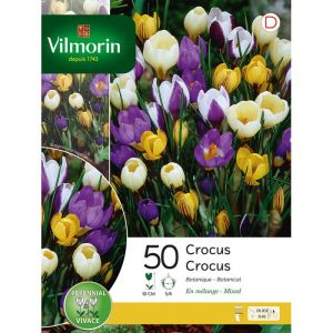 Vilmorin Crocus Botanique en Mélange (x50)