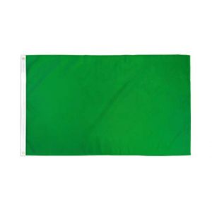 AZ FLAG Drapeau Commissaire de Course Vert 90x60cm - Drapeau Fin de la Zone de Danger 60 x 90 cm - Drapeaux