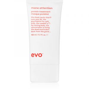 Evo Mane attention protein treatment Haarkur