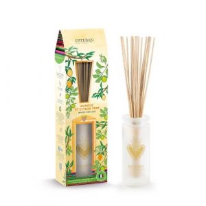 Esteban Paris Bouquet parfum&eacute;e 100ml mangue et citron vert