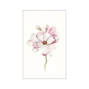 Komar Affiche d'art Magnolia Blossom - Taille: 50 x 70 cm - rose, vert, blanc