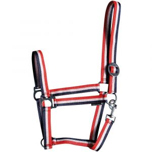 Harry's Horse Licol pour cheval Economy