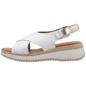 SANDRA FONTAN - LAPACHO 39 Blanc