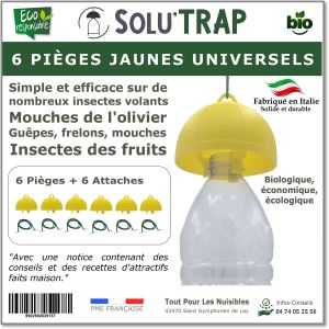 Tout Pour Les Nuisibles - Solutrap 6 pi&egrave;ges jaunes universels mouches gu&ecirc;pes frelons