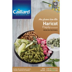 Image de caillard Étuis Haricot à écosser flajoly vert