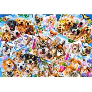 Bluebird Puzzle Selfie Pet Collage