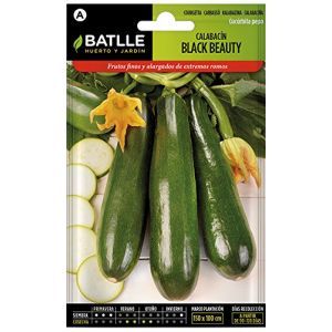 Batlle Semillas Graine pour courgettes Black Beauty