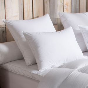 Image de Dodo Oreiller 90% Duvet d'Oie MOELLEUX - 50/70 - Blanc