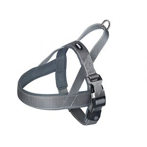 Nobby 80639?42 Harnais norvégien Classic preno Royal, Gris