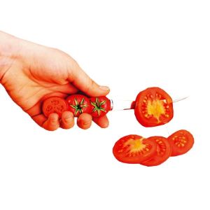 Image de Couteau à tomates 19 cm en inox