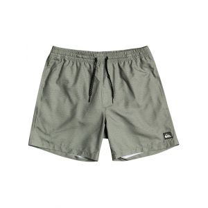 Image de Quiksilver Everyday Volley 13" Boardshorts vert