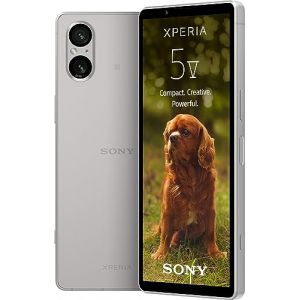 Sony Xperia 5 V Argent 128Go 5G