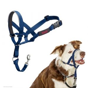 Halti Licol - pour Que Votre Chien arr&ecirc;te de Tirer sur sa Laisse, Partie enti&egrave;rement matelass&eacute;e sur Le museau, Colliers Anti-Traction pour Chiens de Taille Moyenne (Taille 2, Bleu Cobalt)