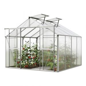 GFP Serre de jardin Orchidee 4 structure en aluminium 256 x 256 cm panneaux en polycarbonate