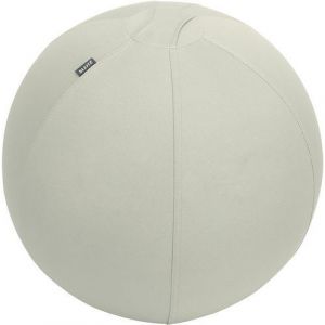 Leitz Siège Ballon Ergonomique pour Bureau, 55 cm de Diamètre, avec Housse en Tissu / Balle d'Assise / Pompe à Air Manuelle / 2 Bouchons, Gamme Ergo, Gris Clair, 65410085