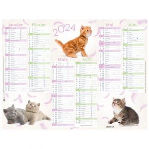 Oberthur Calendrier Chaton Pelote - 14 mois, dec-juin, juillet-janvier - 27 x 21 cm