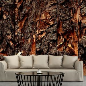 Artgeist Papier Peint "Time Carved in the Tree" 50x1000cm