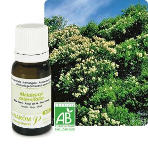 Pranarôm Tea Tree - Huile essentielle Bio (10 ml)