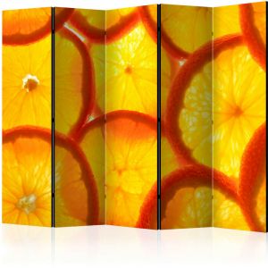 Image de Artgeist Paravent 5 Volets "Orange Slices" 172x225cm