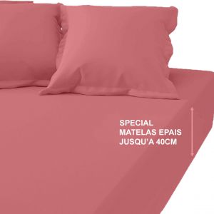 Drap-housse grand bonnet XL Coton Tertio - Vieux Rose